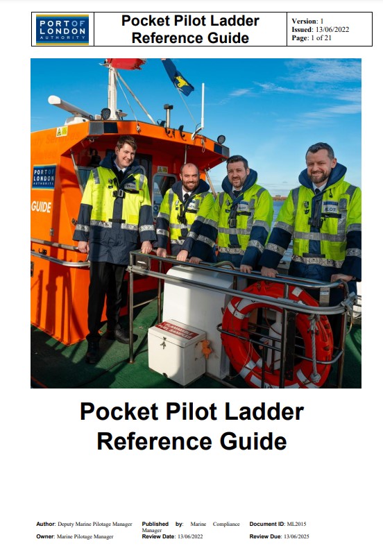 Download PDF on www.pilotladdersafety.com